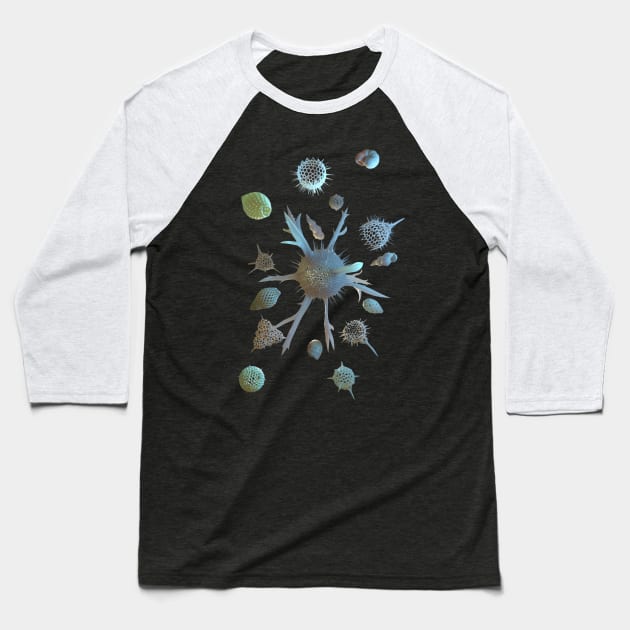 Radiolaria and Foraminifera Baseball T-Shirt by Ldarro